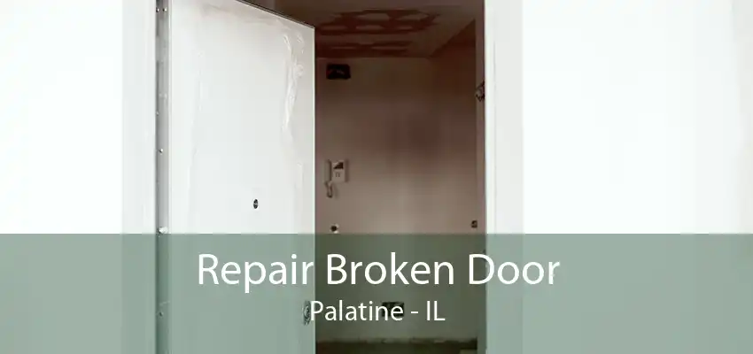 Repair Broken Door Palatine - IL