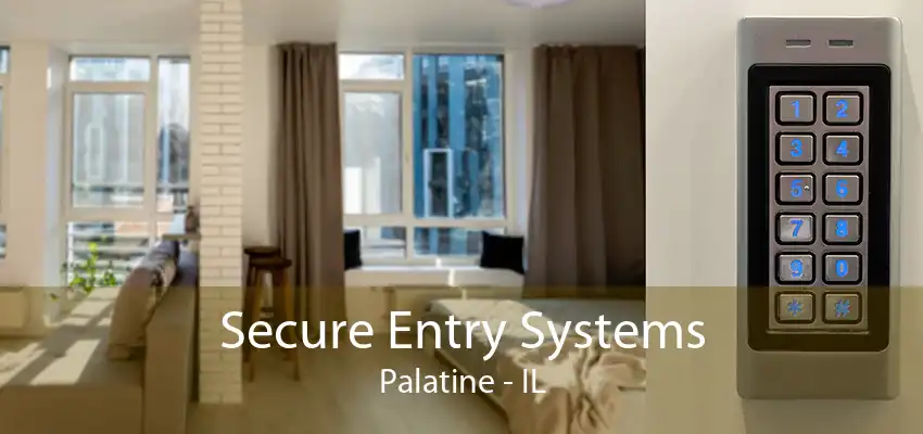 Secure Entry Systems Palatine - IL