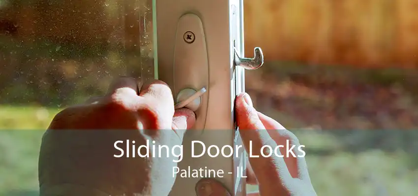 Sliding Door Locks Palatine - IL