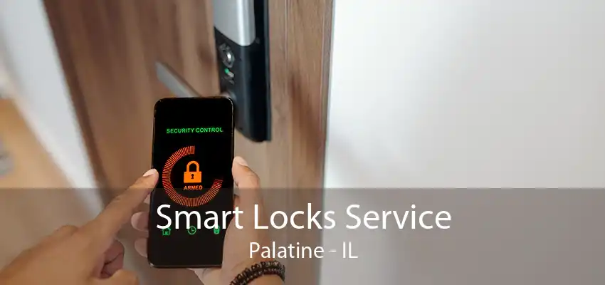 Smart Locks Service Palatine - IL