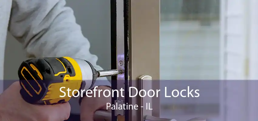 Storefront Door Locks Palatine - IL