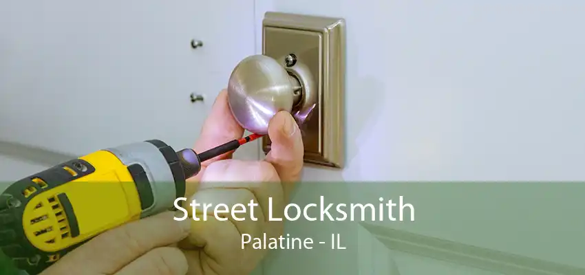 Street Locksmith Palatine - IL