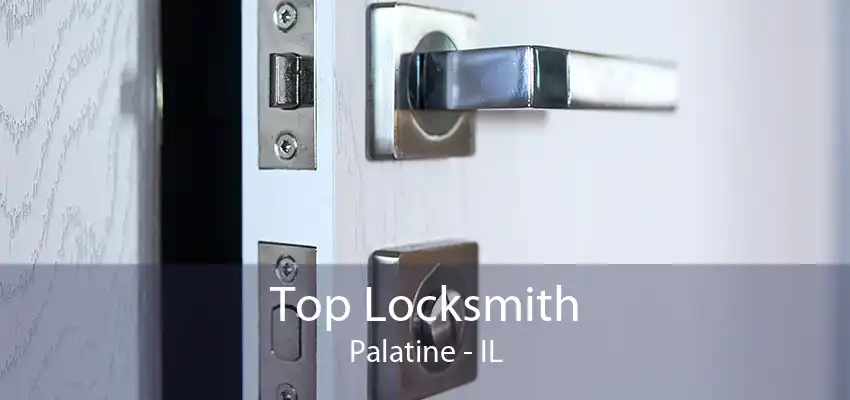 Top Locksmith Palatine - IL