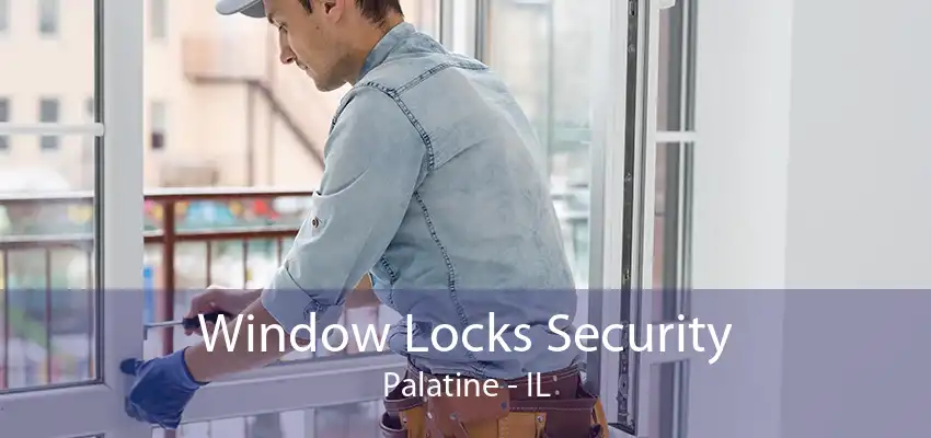 Window Locks Security Palatine - IL